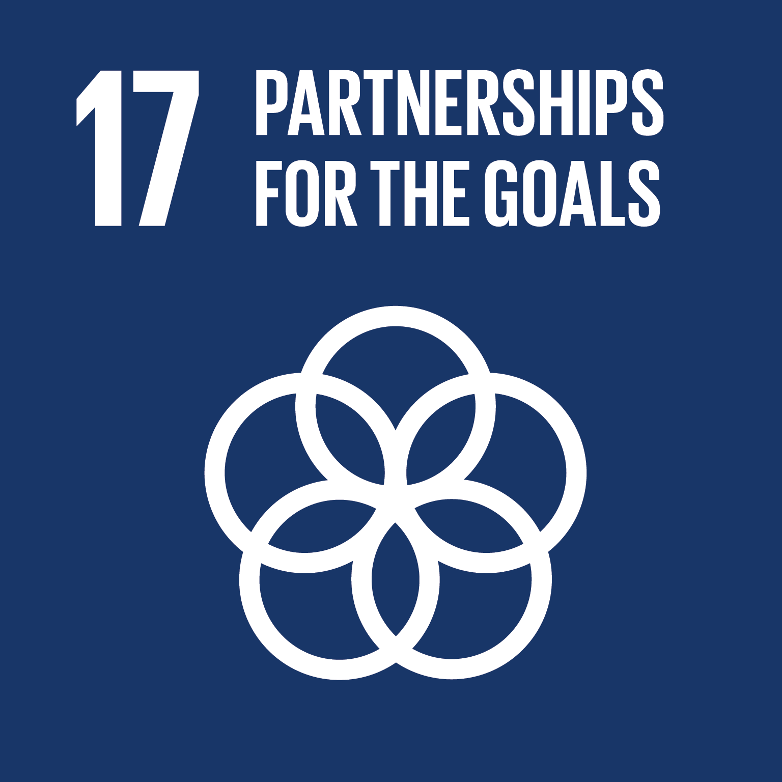 SDG 17 - Partnerships For The Goals